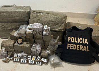 Polícia Federal apreende 235kg de skunk