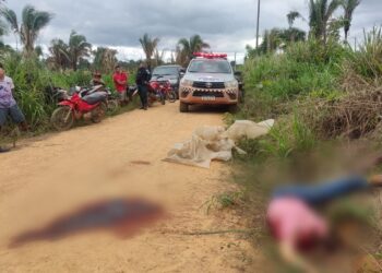 Vídeo: Homem é decapitado e tem a cabeça levada em uma mochila em Pacajá, no PA