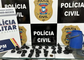 Ao apurar denúncia de violência doméstica, Polícia Civil prende suspeito por tráfico de drogas