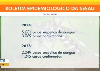Dengue cresce 114% em Maceió em 2024; veja bairros com mais casos | Alagoas