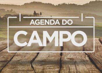 Agenda do Campo da semana tem feiras agropecuárias e caminhadas na natureza