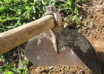 Homem mata atual da ex com vrios golpes de enxada na cabea em MT