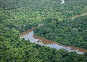 MPF abre inqurito para investigar invaso de terra indgena em MT por fazendeira