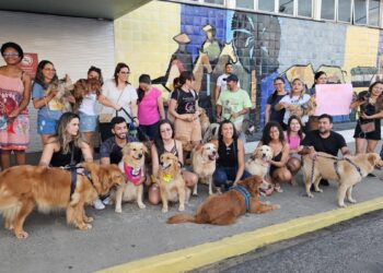 Cão Joca: donos de pets fazem ato no Aeroporto de Teresina por justiça pela morte do golden retriever