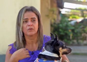 Cadelinha atacada por 3 pitbulls sem focinheiras; veja vdeo