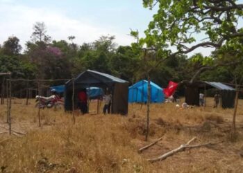 Faces invadem terra em MT e escondem drogas; PM confirma flagrante