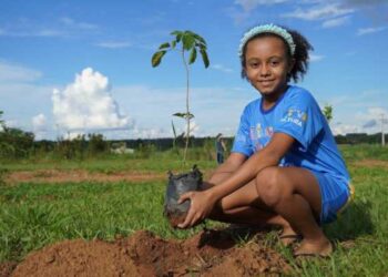 Museu Histórico inicia Reflorestamento da Área Verde do antigo 9º BEC