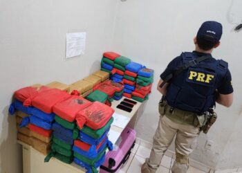PRF apreende 101 kg de skunk com valor de mercado estimado em R$ 3 milhões, em Vitória do Xingu