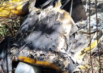 Avião agrícola cai, pega fogo e ocupantes sobrevivem, no Pará