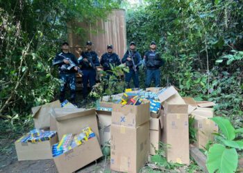 Polícia Militar recupera veículo e carga roubada na BR-230 em Placas, no PA