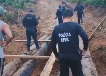 Polícia Civil e Militar realizam ações de combate à criminalidade em Rurópolis