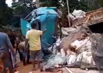 Vídeo: Caminhão tomba na ladeira mata cobra na transgarimpeira