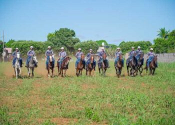 PMs já fazem curso de formação para Cavalaria em LRV
