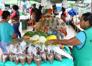 Cerca de 20 mil pessoas visitaram a 1ª Feira de Produtores da Agricultura Familiar na Praça Alencastro