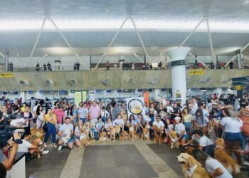 Justiça por Joca: Tutores de cães paraenses fazem ato pacífico no aeroporto em favor da causa animal | Pará