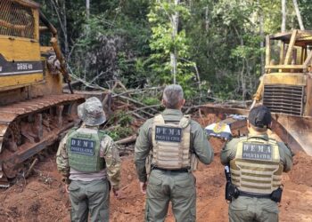 Polícia Civil realiza operação de fiscalização ambiental em propriedades em Feliz Natal e Vera