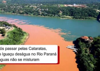 VÍDEO: Após passar pelas Cataratas, Rio Iguaçu deságua no Rio Paraná e águas não se misturam | Oeste e Sudoeste
