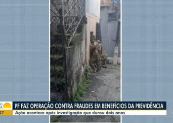 PF faz operação contra grupo que fraudava benefícios por incapacidade na Bahia; benefícios causaram prejuízo de mais de R$ 6 milhões ao INSS | Bahia