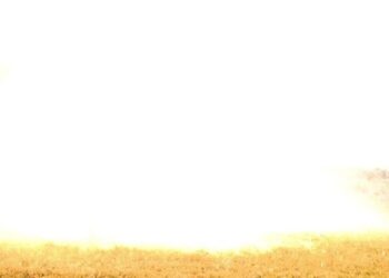 Fiscalização detona 46 kg de pólvora encontrados em fábrica clandestina de fogos em Traipu; veja explosão | Alagoas