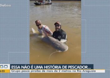 Guia de pesca fisga peixe de mais de 2 metros no Rio Araguaia; VÍDEO | Goiás