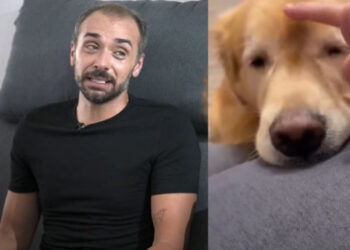 Caso Joca: Senacon pede novas explicações após resposta da Gol | RDNEWS