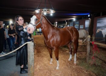 Virginia participa da abertura da Semana do Cavalo