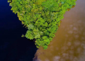 TJ aceita extinção do Cristalino II, ongs criticam, mas Mauro não recorrerá | RDNEWS