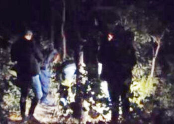 Homem sai para procurar cavalo e acha cadáver em matagal de Várzea Grande | RDNEWS