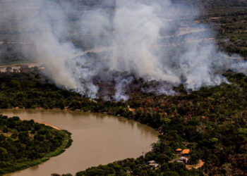 Após 4 anos do incêndio no Pantanal, 4,5 bilhões de animais ainda sentem impacto | RDNEWS