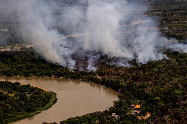 Após 4 anos do incêndio no Pantanal, 4,5 bilhões de