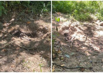 Corpo achado enterrado em cova rasa perto de crrego em MT