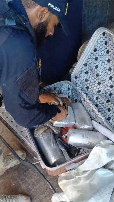 Seis tabletes de Skunk são apreendidos em ônibus interestadual