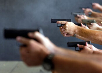 ALMT debate projeto que permite estados e DF a legislar sobre porte de armas | RDNEWS