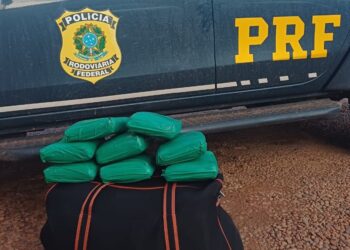 Passageira é presa com mais de 10 kg de maconha na BR-230