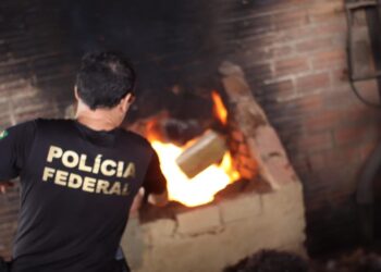 Polícia Federal incinera 810kg de droga no Pará