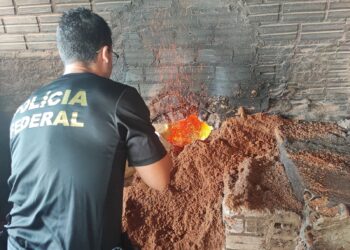 PF incinera 150 kg de maconha em Altamira, no PA
