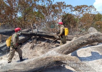Vídeo: Prevenção e combate a incêndios na região amazônica