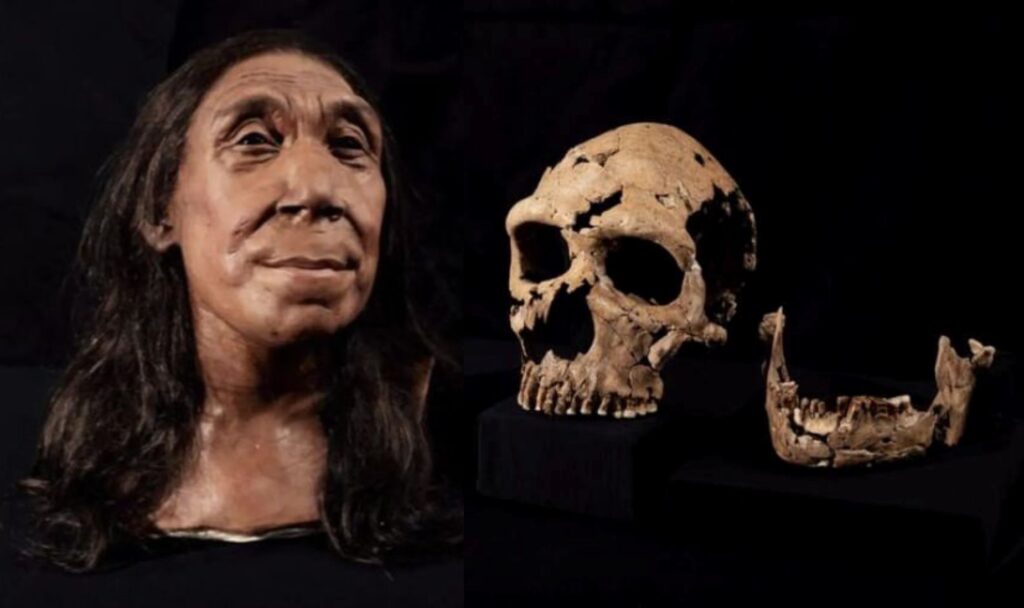 MULHER-NEANDERTAL.jpg