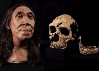 Revelado: rosto de uma mulher de Neandertal de 75.000 anos de idade da caverna onde as espécies enterravam seus mortos