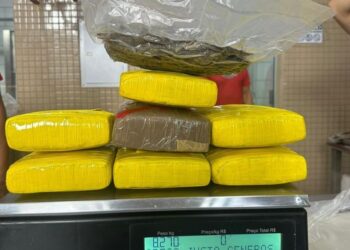 Homem é preso transportando mais de 8 kg de drogas em um ônibus no município de Jacareacanga