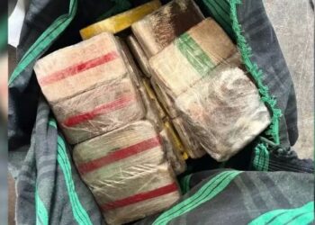 Polícia Militar prende jovem com mais de 27kg de drogas na ‘Operação Sucuri’