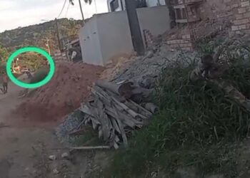 Jovem morre após receber descarga elétrica, em Santarém