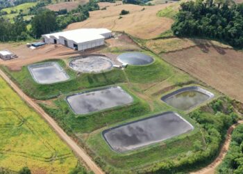 Grupo de produtores monta cooperativa para gerar energia com biogás | Campo e Negócios