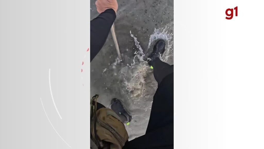 'Caçador de tesouros' que encontrou Iphone em praia de SC