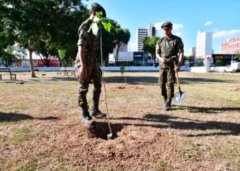 Secretaria de Meio Ambiente doa 40 mudas para o 44º Batalhão de Infantaria Motorizado do Exército Brasileiro
