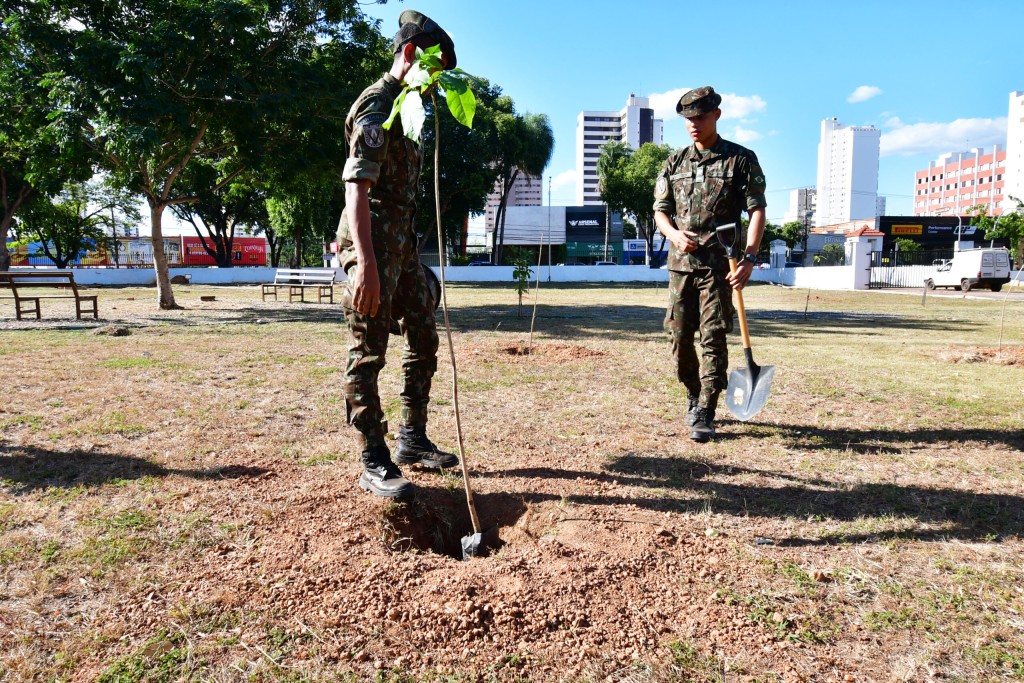 Secretaria de Meio Ambiente doa 40 mudas para o 44º