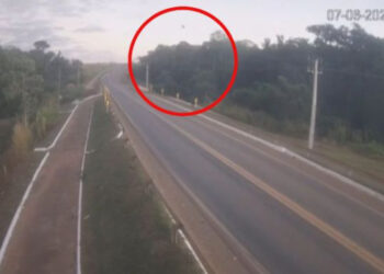 Vídeo mostra momento que avião cai após decolar em fazenda em Sorriso – assista | RDNEWS