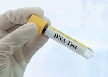 Advogada suspeita de fraude em DNA de filha de fundador de cidade em MT