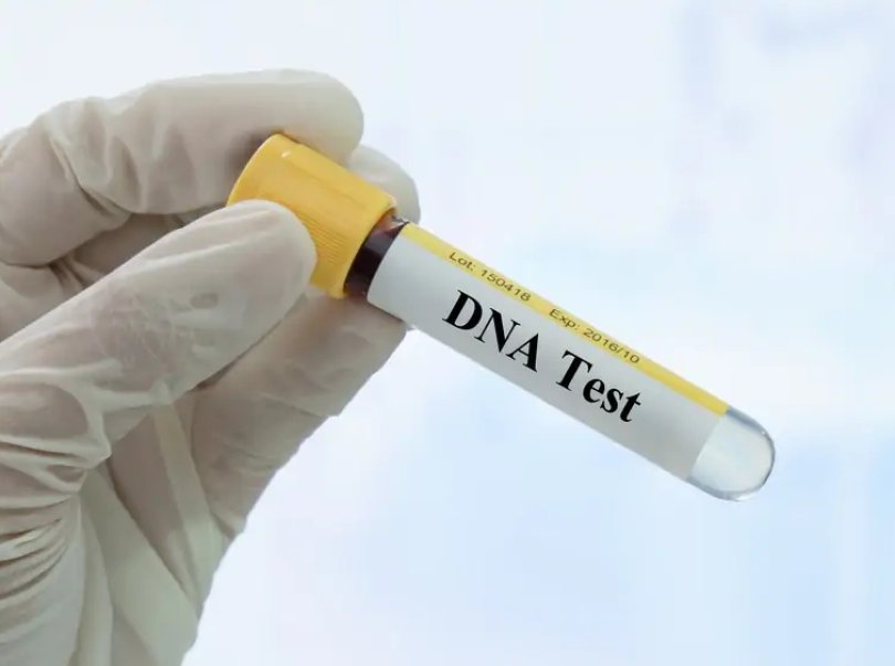 Advogada suspeita de fraude em DNA de filha de fundador