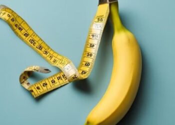 Estudo revela tamanho mdio do pnis no mundo